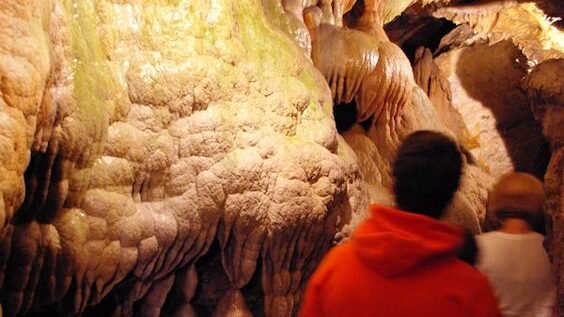 Limestone Wonderland: the Hidden beauty in North Carolina.